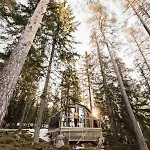 Haltia Nature Boutique Hotel&glamping 4*