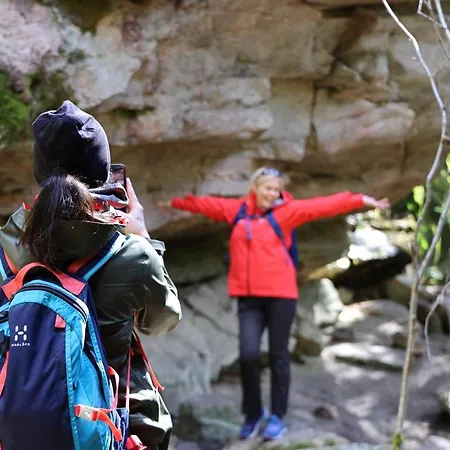 Haltia Nature Boutique & Glamping 4*