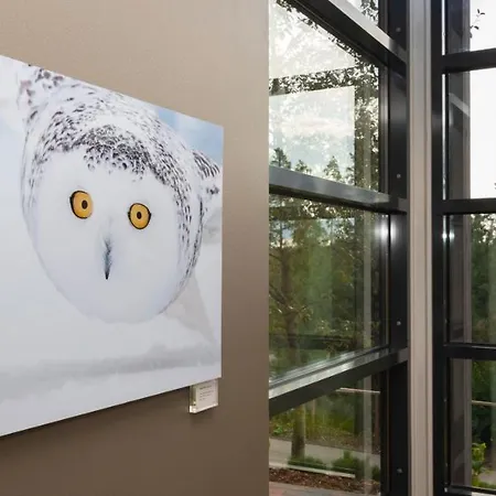 Haltia Nature Boutique & Glamping Espoo