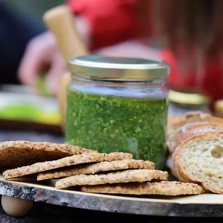 Hotel Haltia Nature Boutique & Glamping Espoo