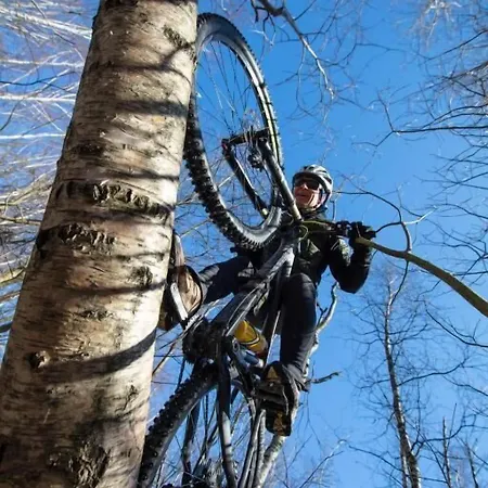 Hotel Haltia Nature Boutique & Glamping