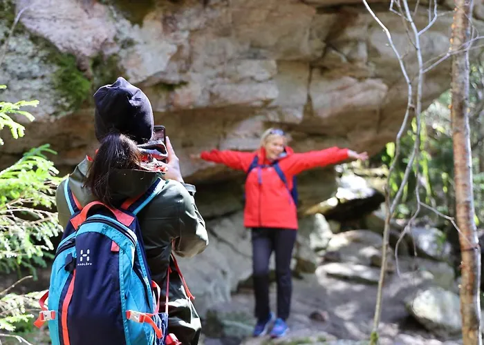 Haltia Nature Boutique & Glamping 4*