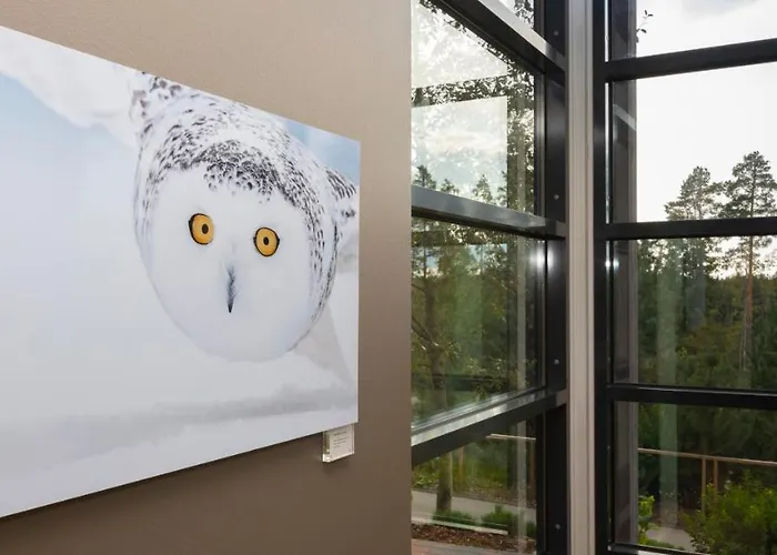 Haltia Nature Boutique & Glamping Espoo