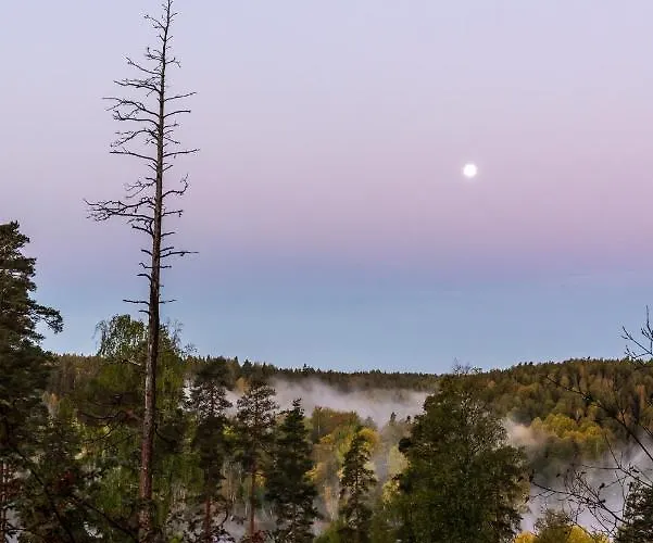 Haltia Nature Boutique & Glamping Hotel 4*