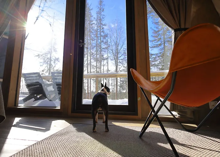 Haltia Nature Boutique & Glamping Hotel Espoo