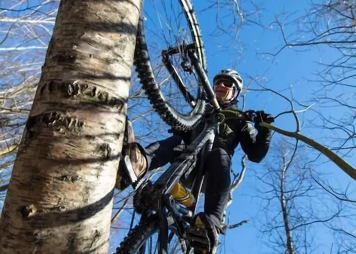 Hotel Haltia Nature Boutique & Glamping