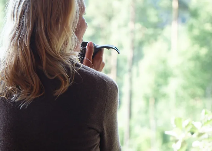 Haltia Nature Boutique & Glamping Hotel 4*